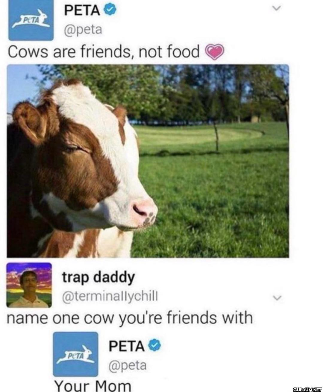 Cows are friends, not food...