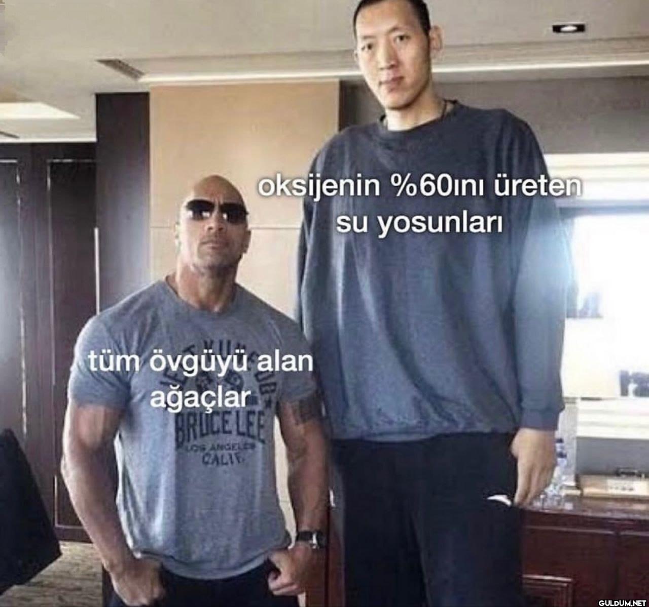 oksijenin %60ini üreten su...