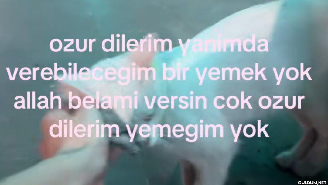 ozur dilerim yanimda...