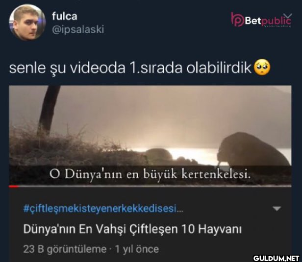 Betpublič senle şu videoda...