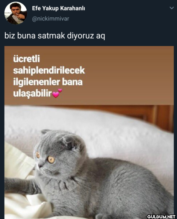 biz buna satmak diyoruz aq...