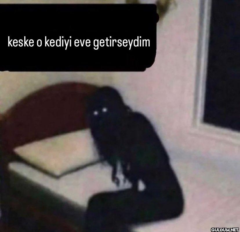 keske o kediyi eve getirseydim