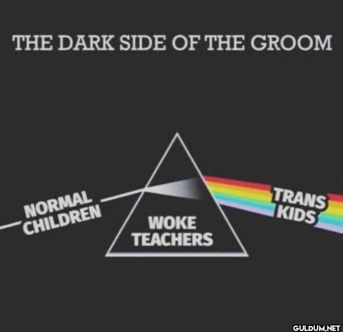 Just saying.    THE DARK...