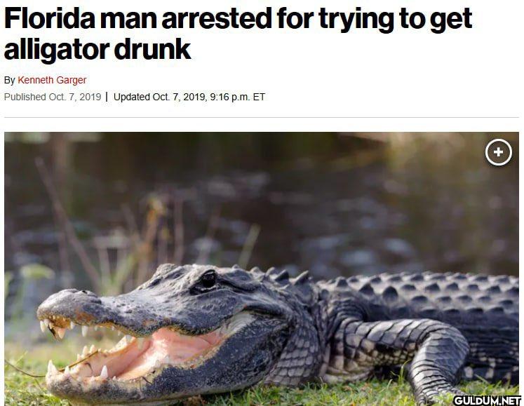 7.    Florida man arrested...