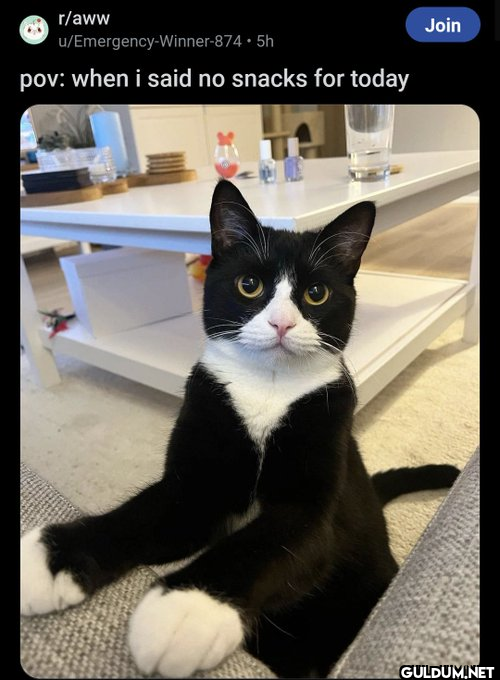 r/aww...