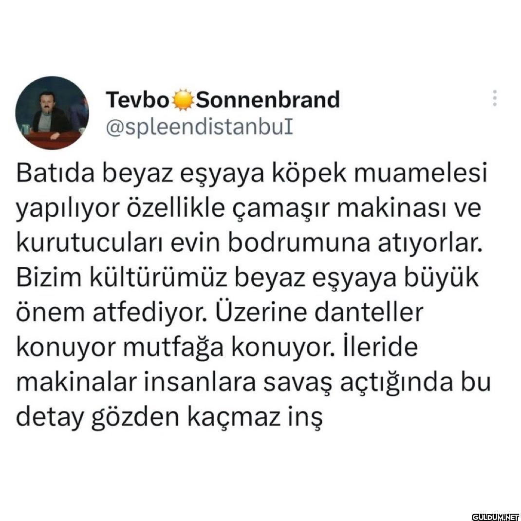 Batida beyaz eşyaya köpek...