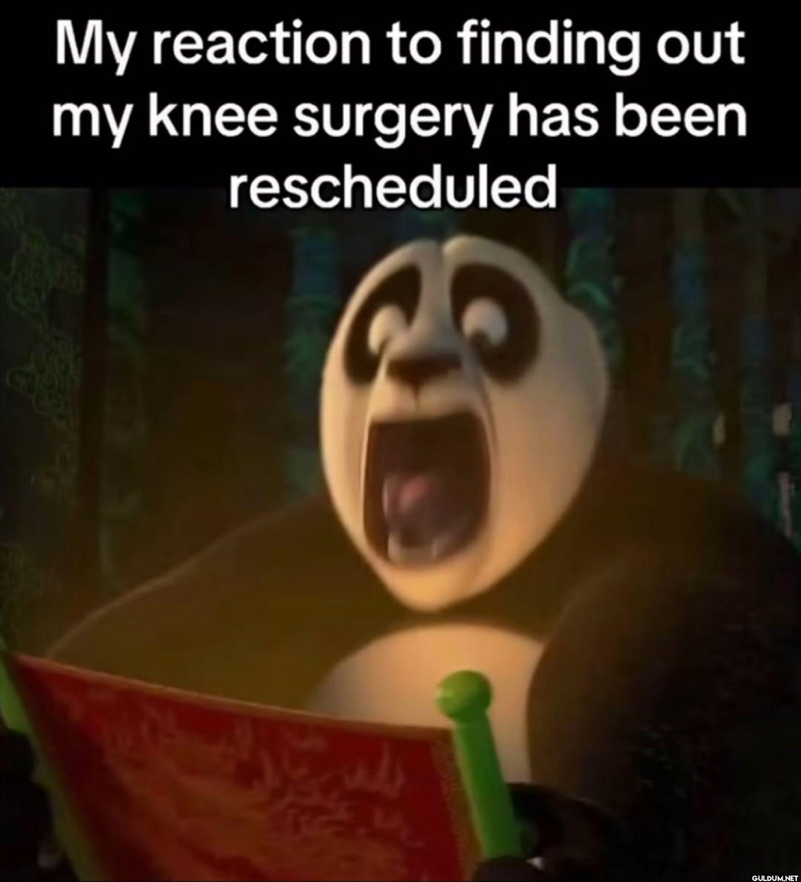 My reaction to finding out...