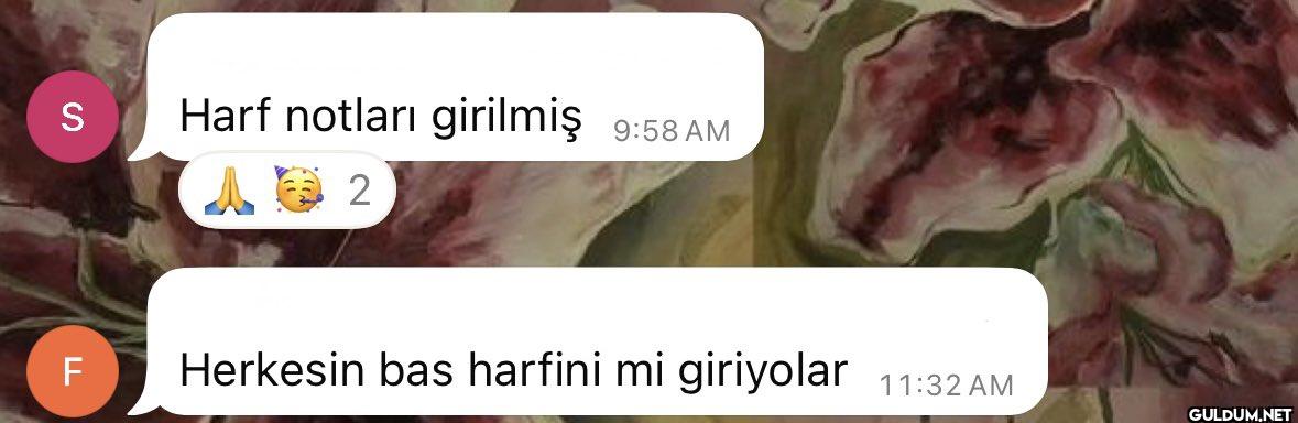 S Harf notları girilmiş 2...
