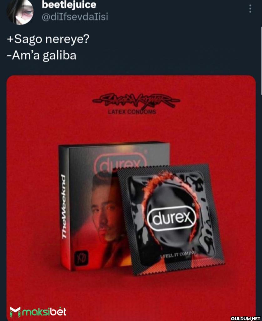 +Sago nereye? -Am'a galiba...