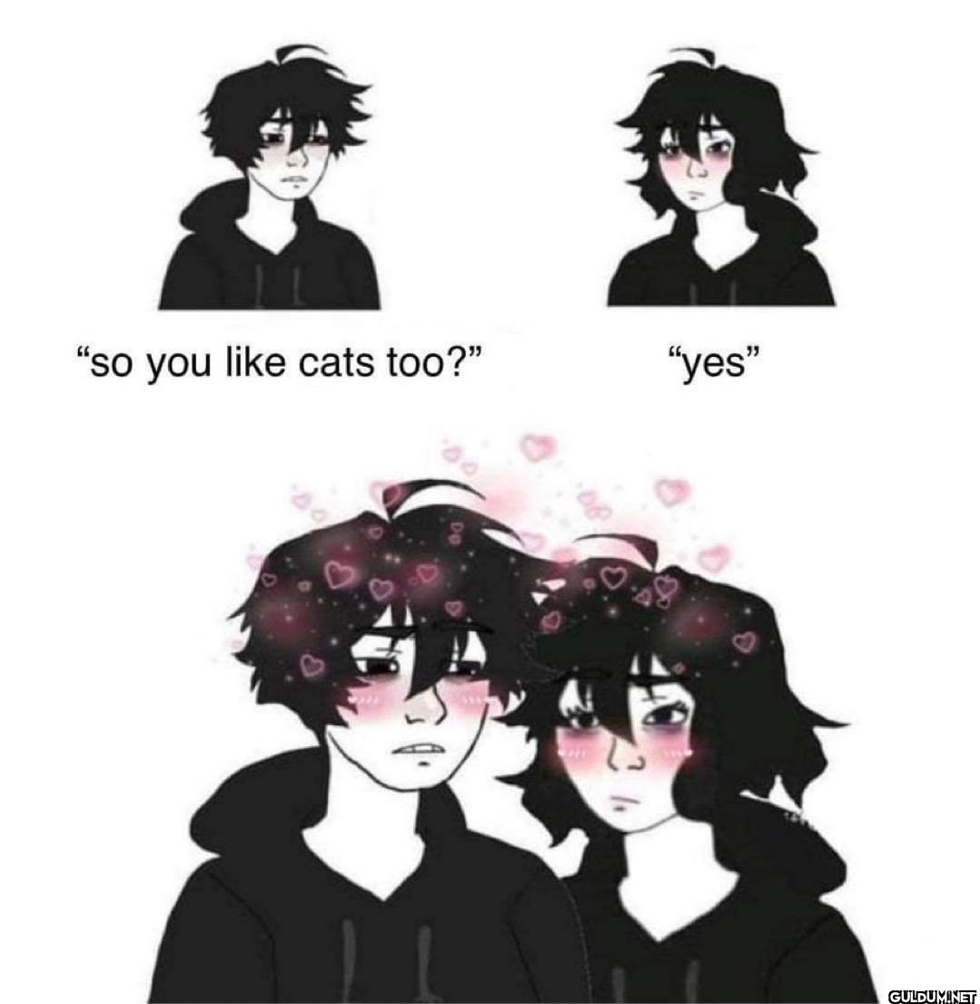 "so you like cats too?" "yes"