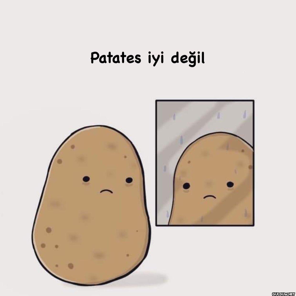 Ama patates yine de...