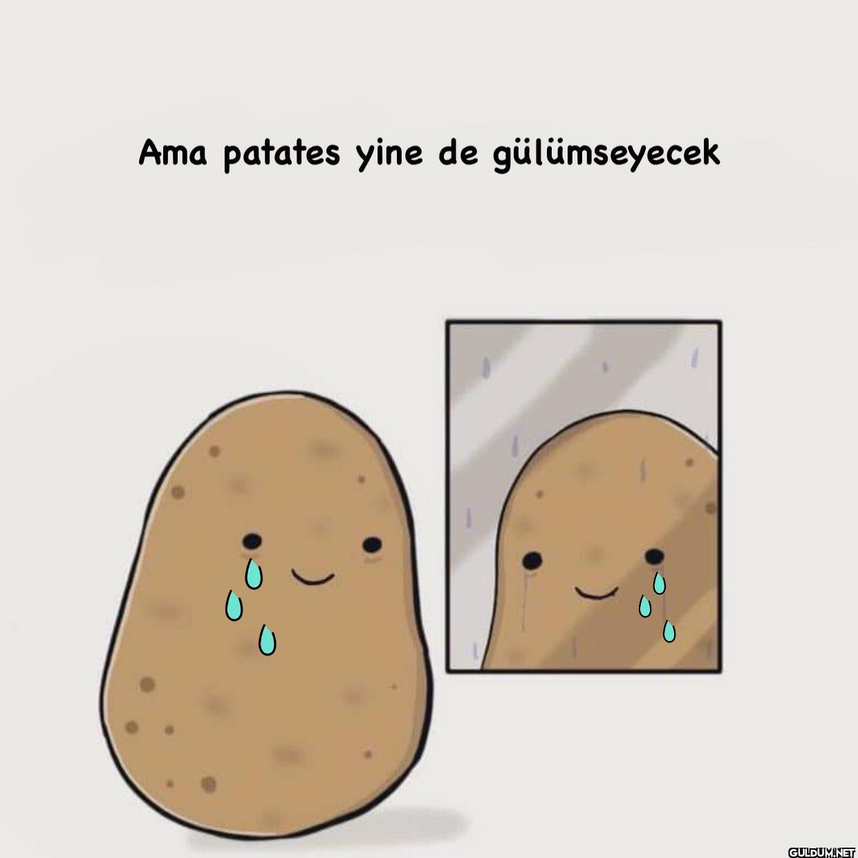 Ama patates yine de...