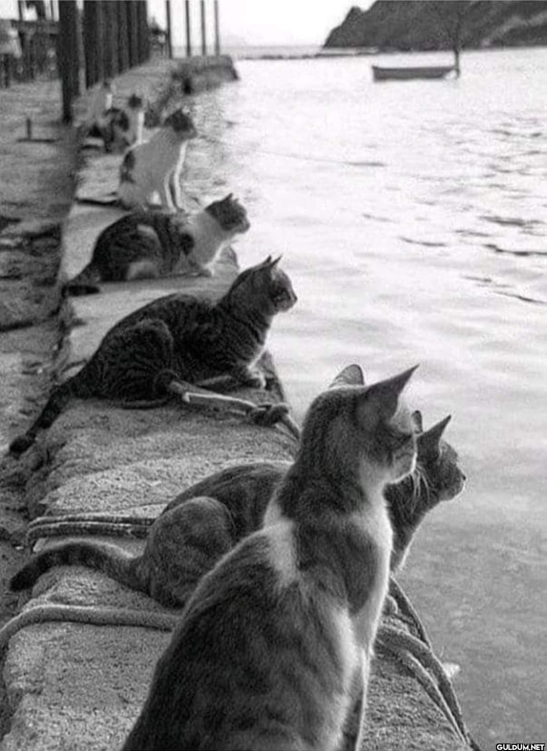 Ara Güler  1970 yılı...