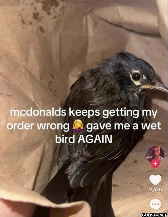 mcdonalds keeps getting my...