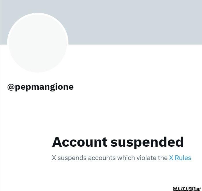 X has suspended Luigi...