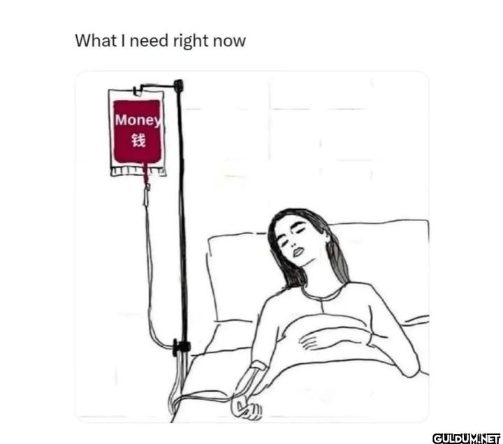 Real    What I need right...