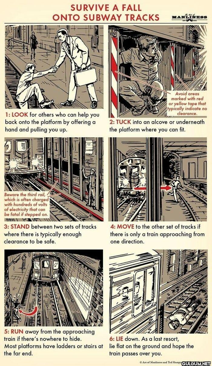 18. Survive A Fall Onto...