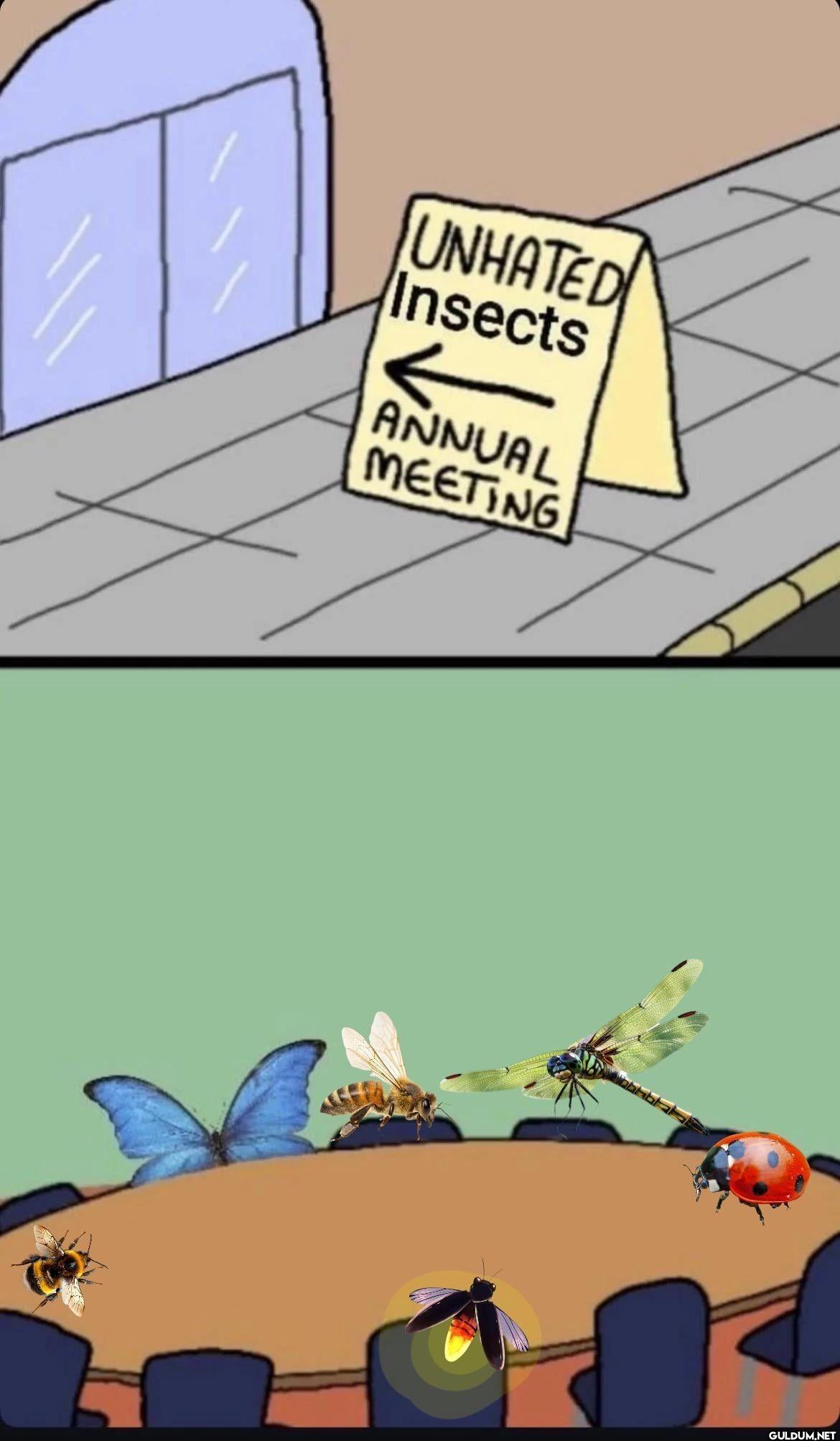 UNHATED Insects ANNUAL MEETING