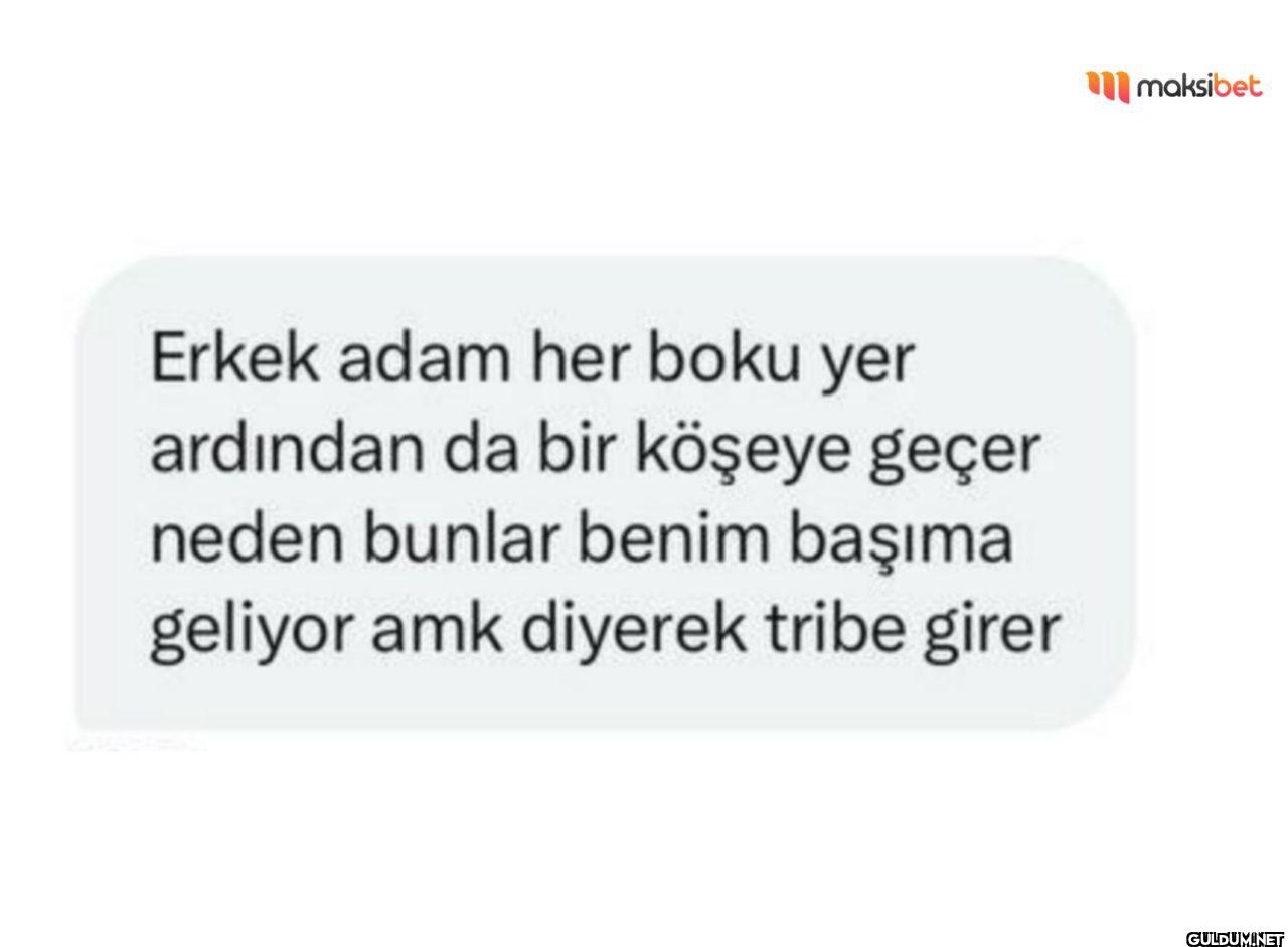 Erkek adam her boku yer...