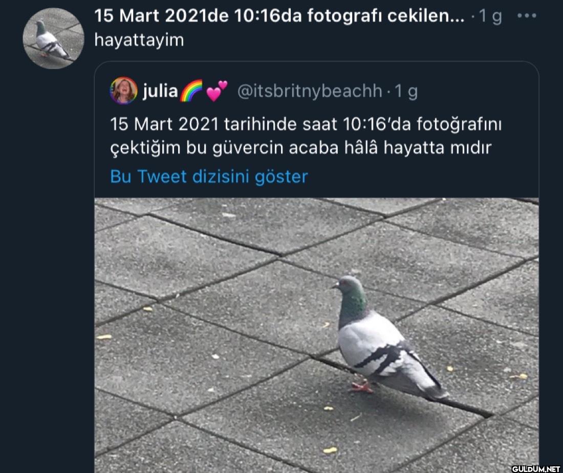 15 Mart 2021de 10:16da...