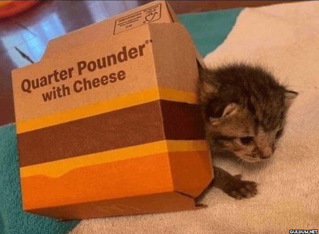 Quarter Pounder with Cheese