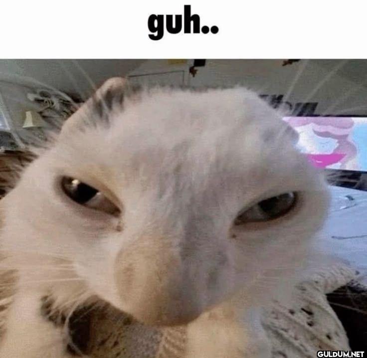 guh..
