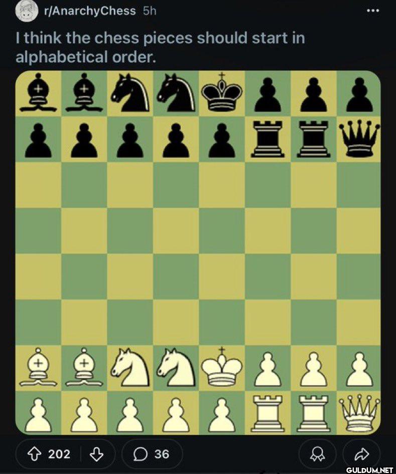 r/AnarchyChess 5h I think...