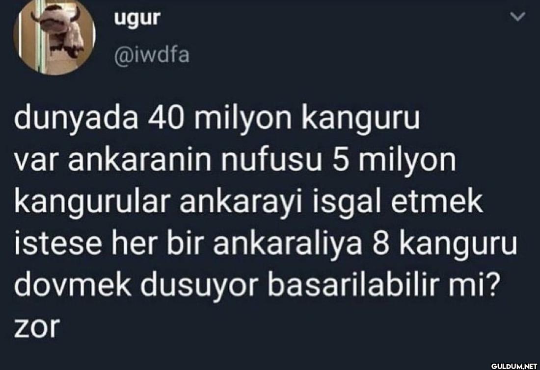 dunyada 40 milyon kanguru...