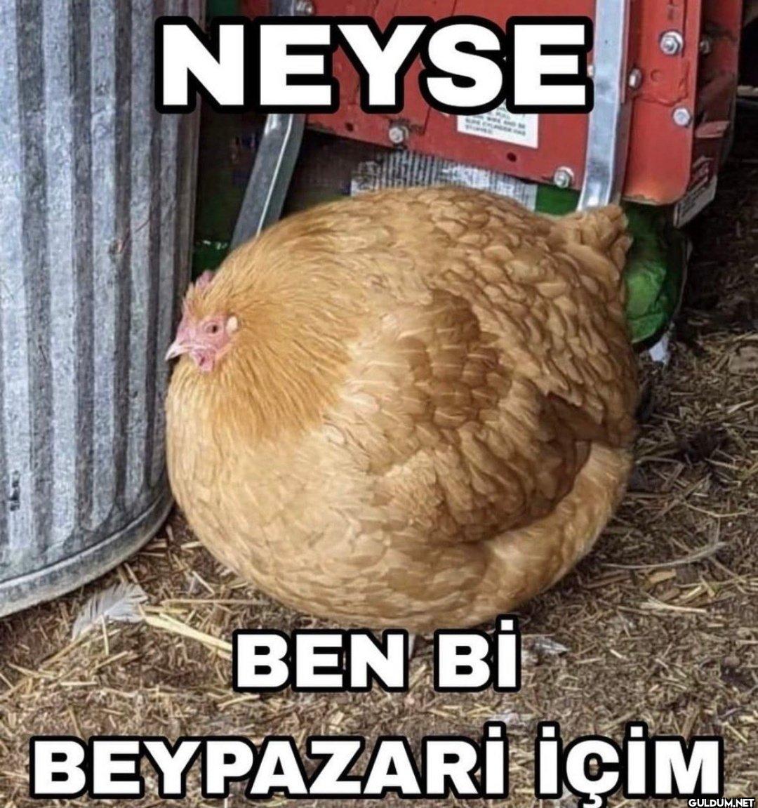 NEYSE BEN Bİ BEYPAZARİ İÇİM