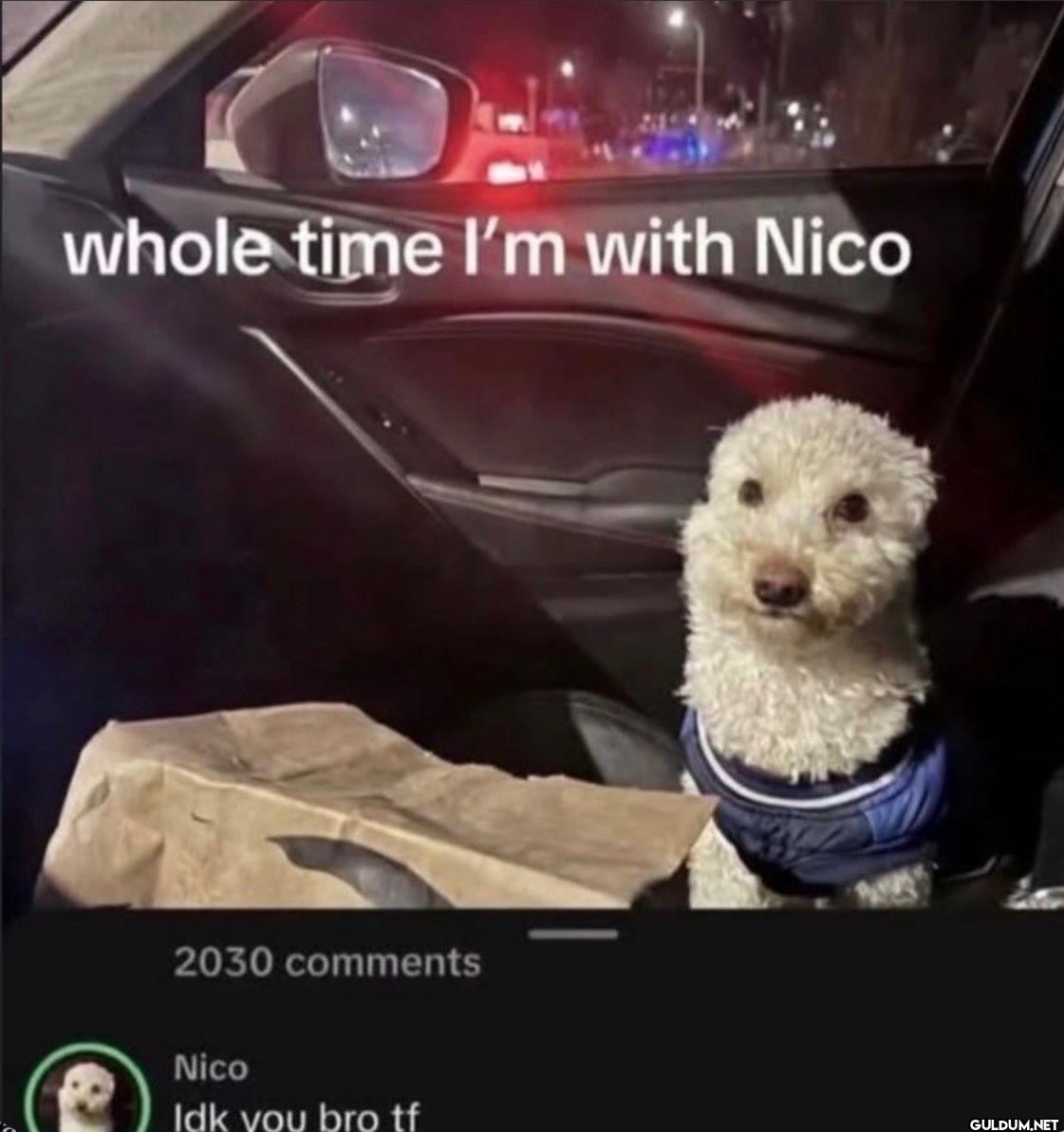 whole time I'm with Nico...