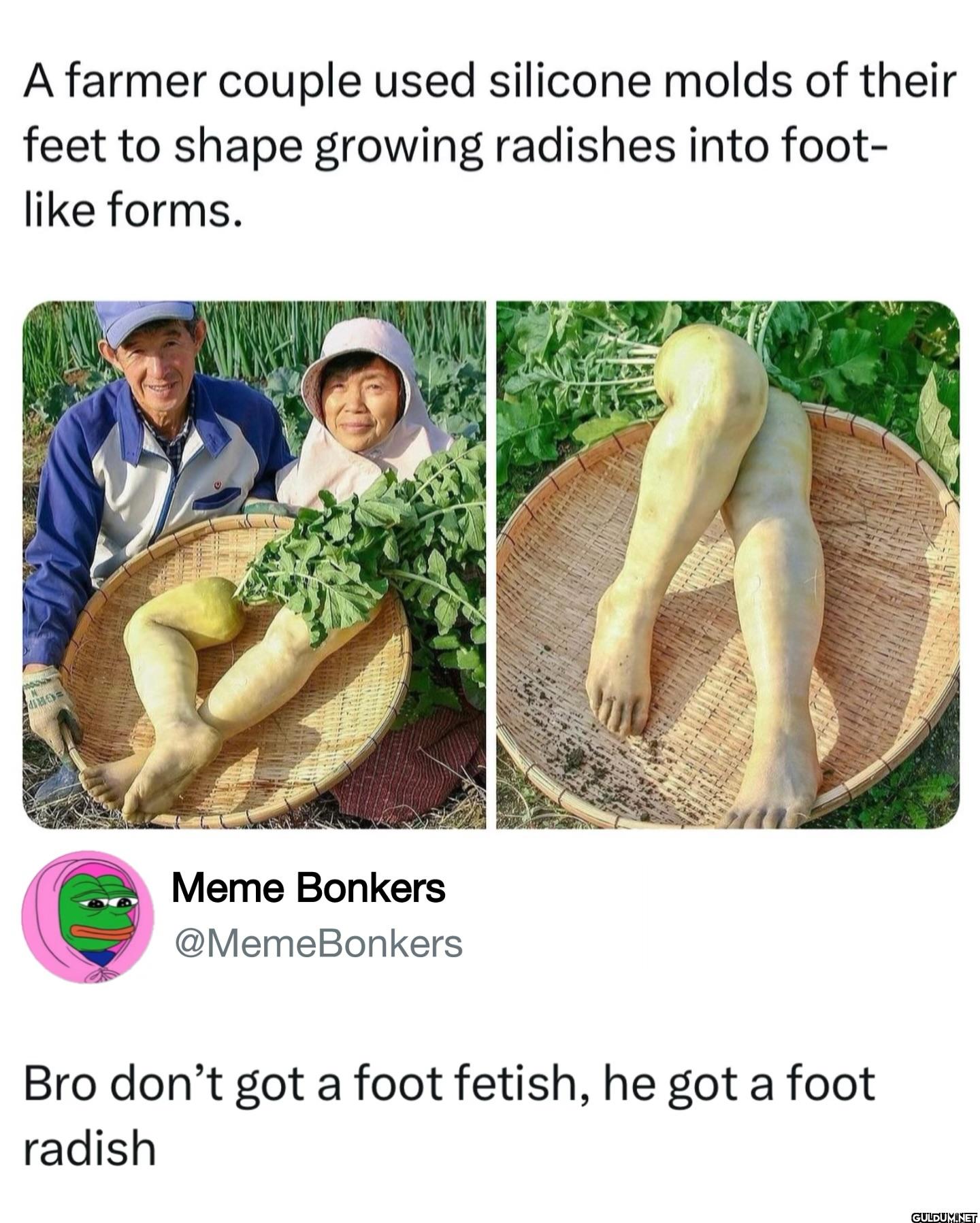︎ ︎ ︎ ︎︎ ︎ ︎ ︎    A farmer...