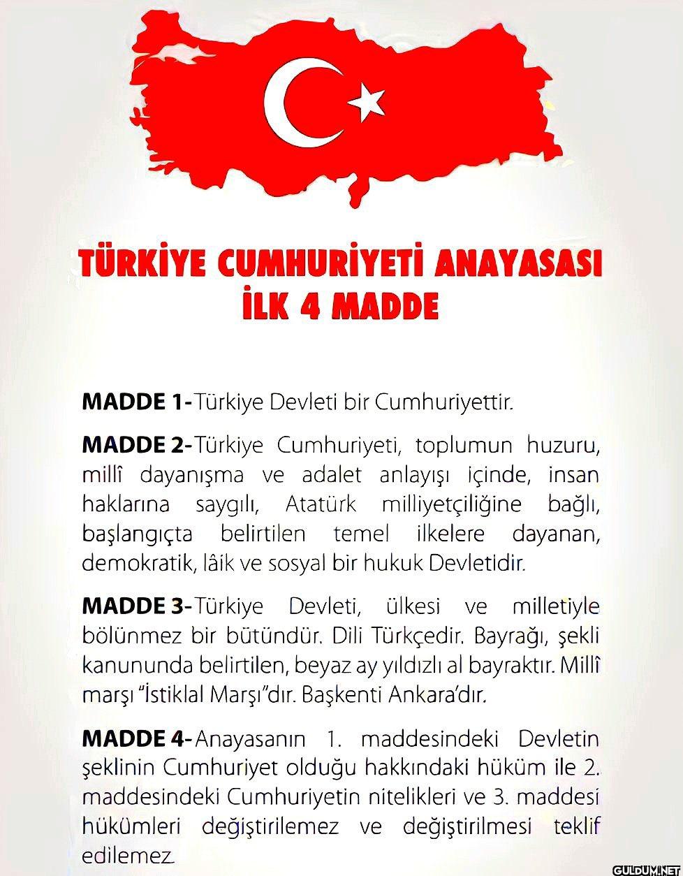 Anayasanın ilk 4 maddesi...