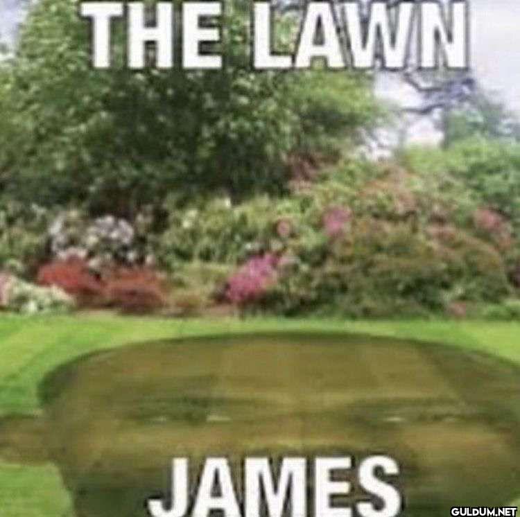 THE LAWN JAMES