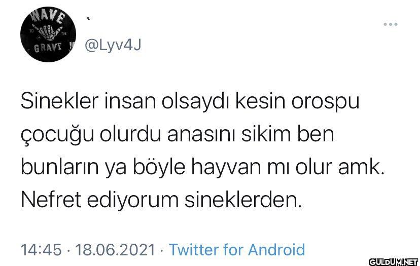 Sinekler insan olsaydı...