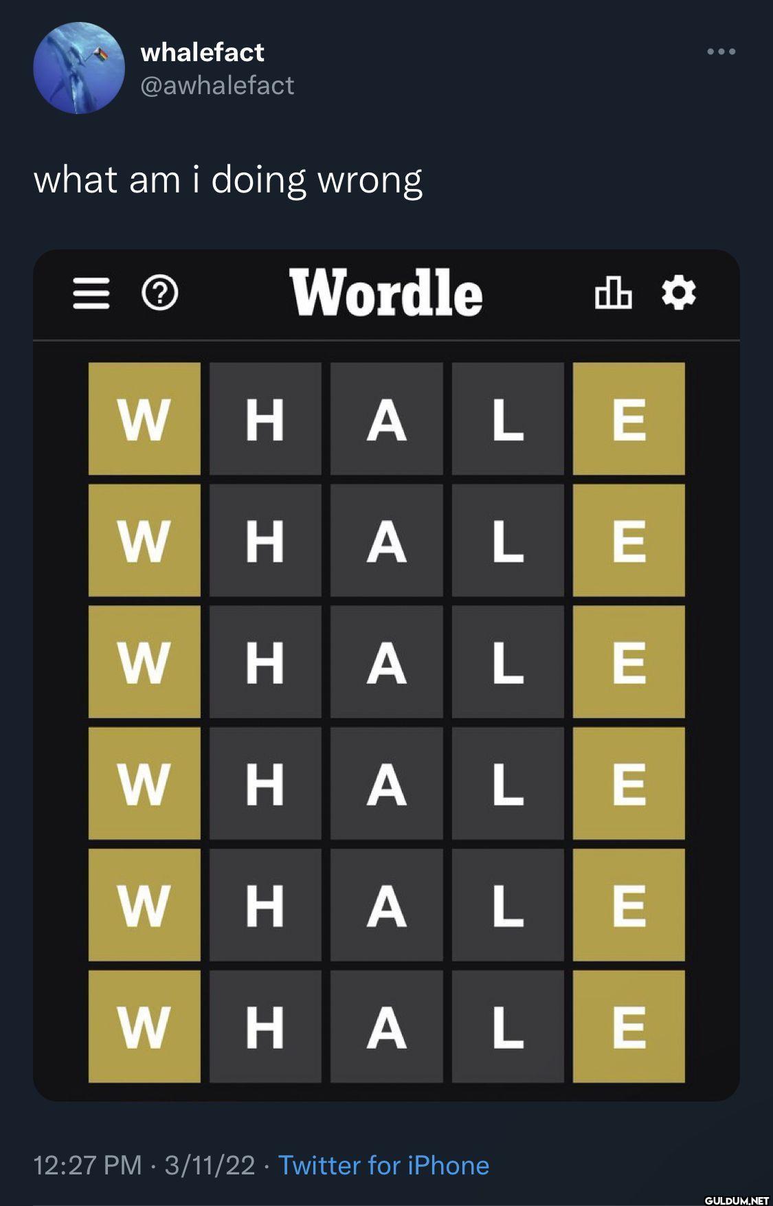 what am i doing wrong...