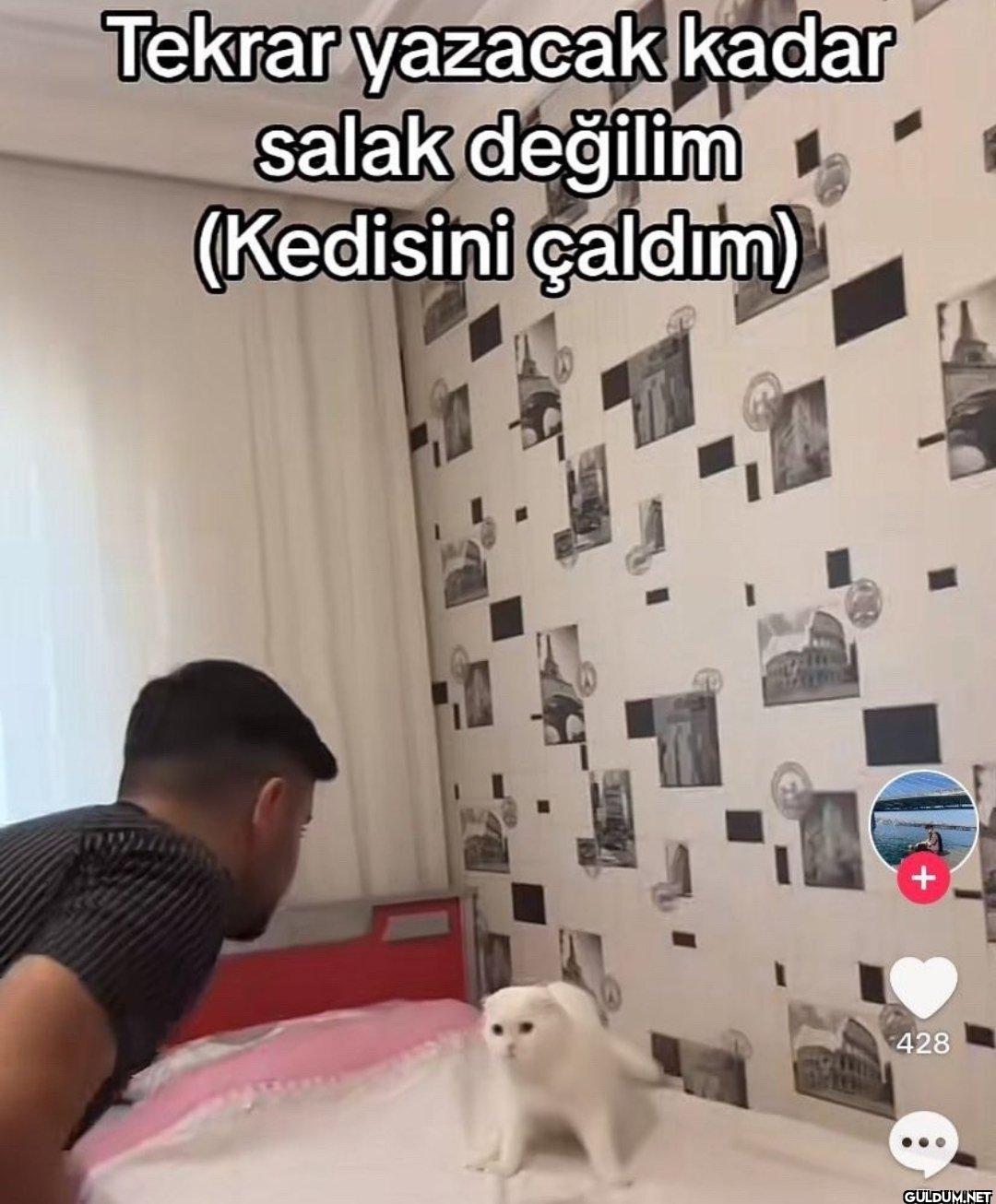 Tekrar yazacak kadar salak...