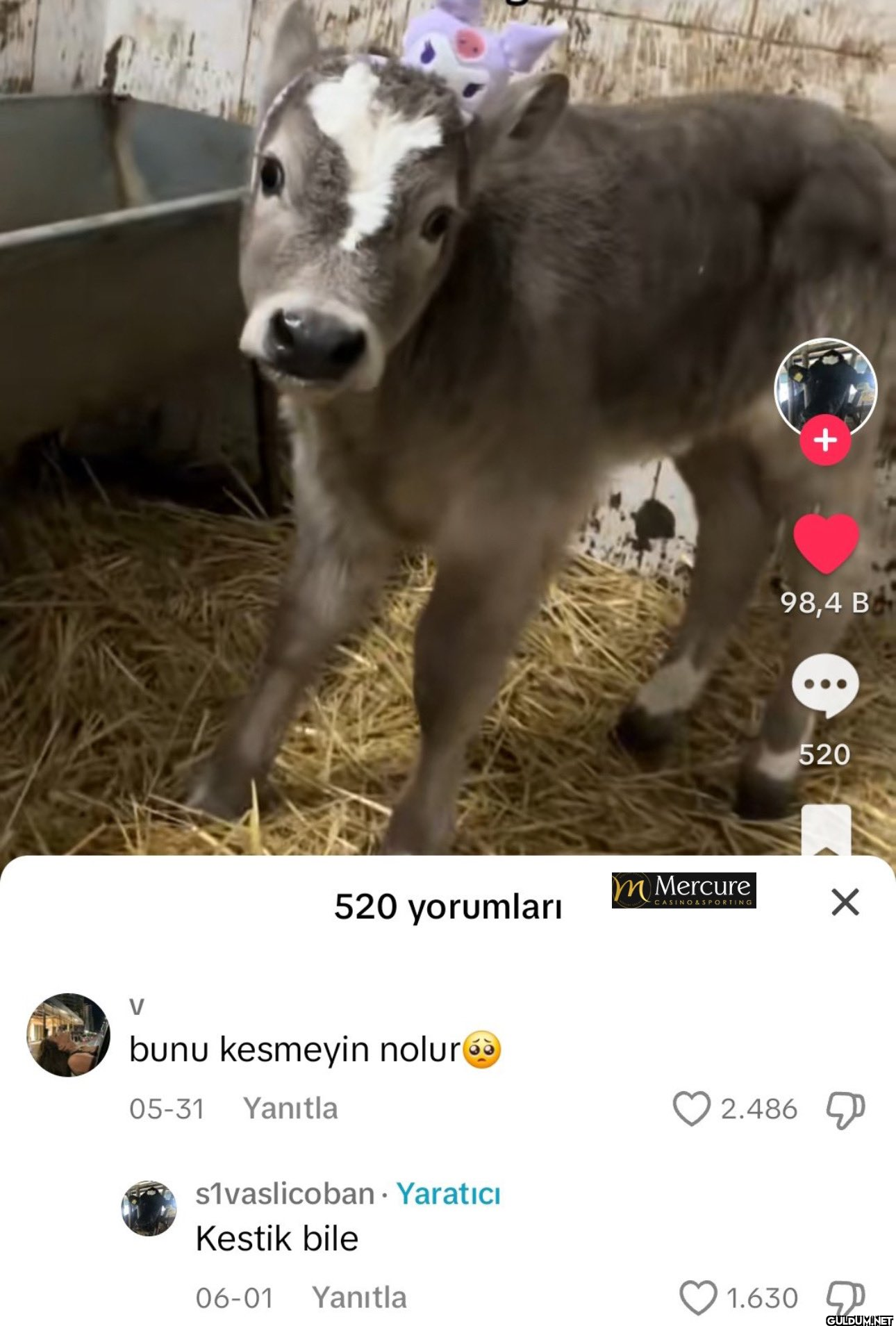 520 yorumları mMercure...