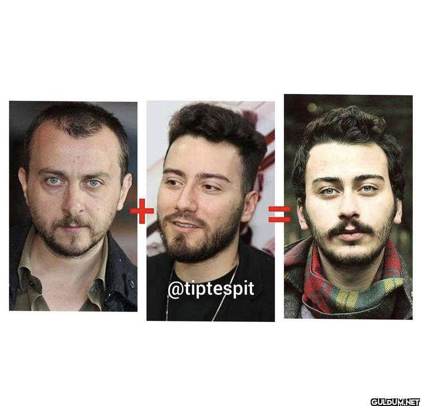 @tiptespit @tiptespit @tiptespit