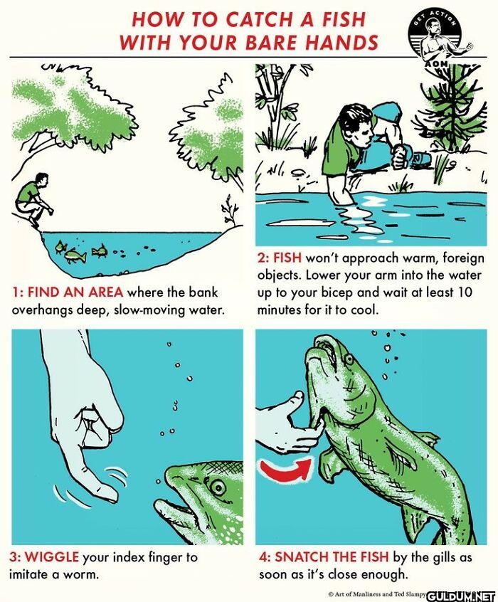7. How To Catch A Fish...