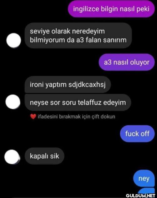 ingilizce bilgin nasil...
