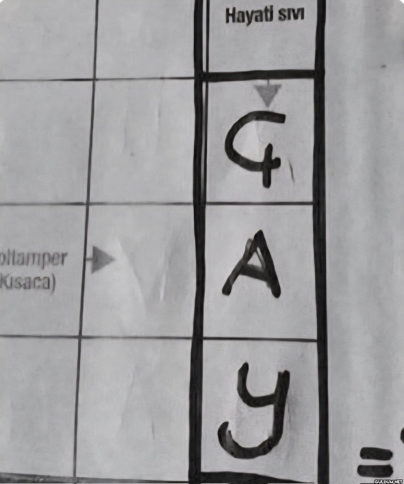 oltamper Kisaca) Hayati sivi G A y