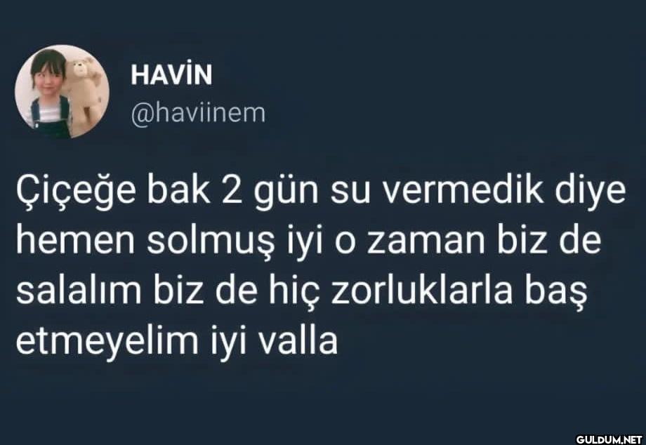 Çiçeğe bak 2 gün su...