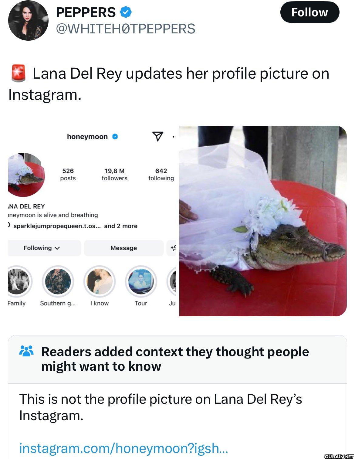 Follow Lana Del Rey...