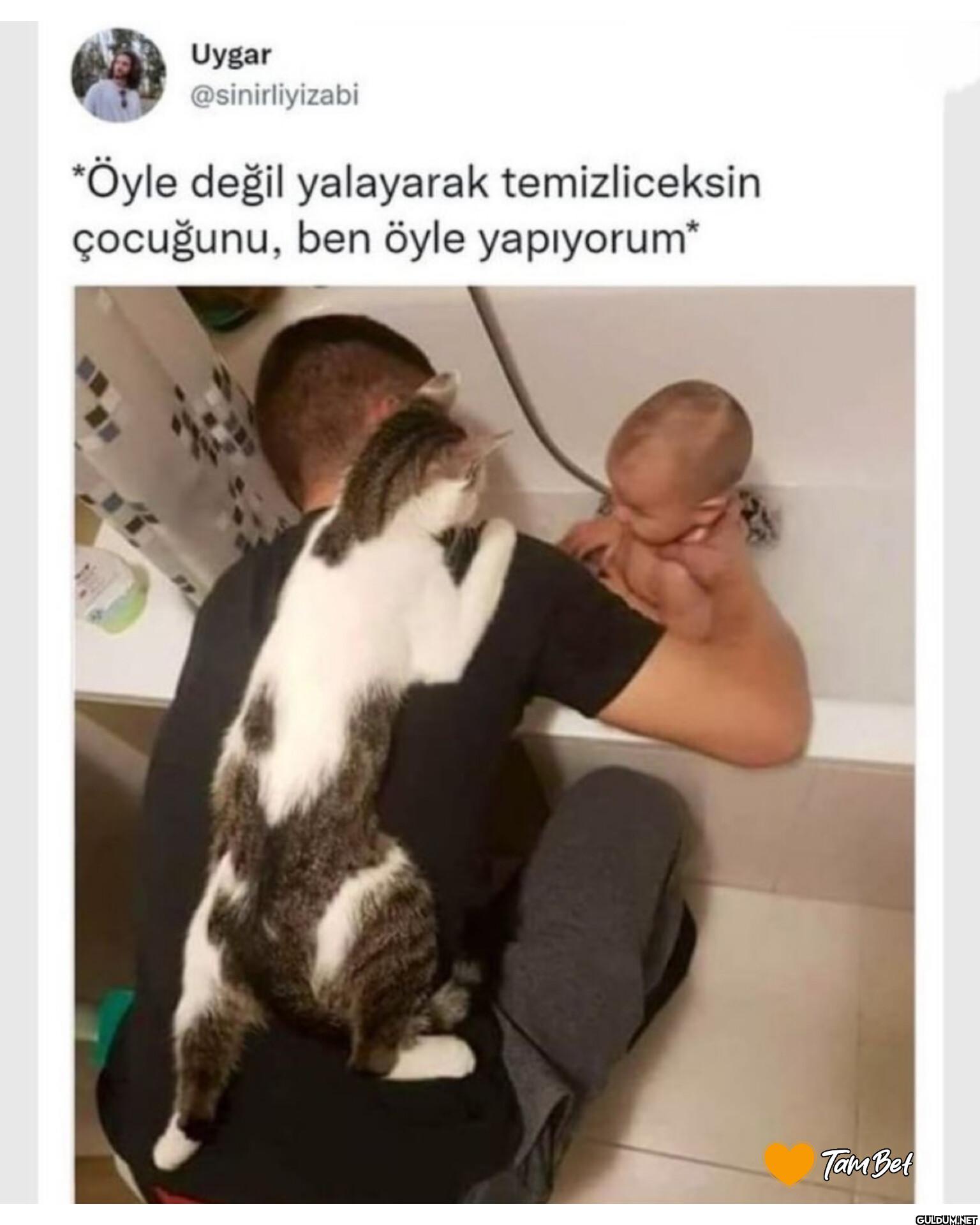 *Öyle değil yalayarak...
