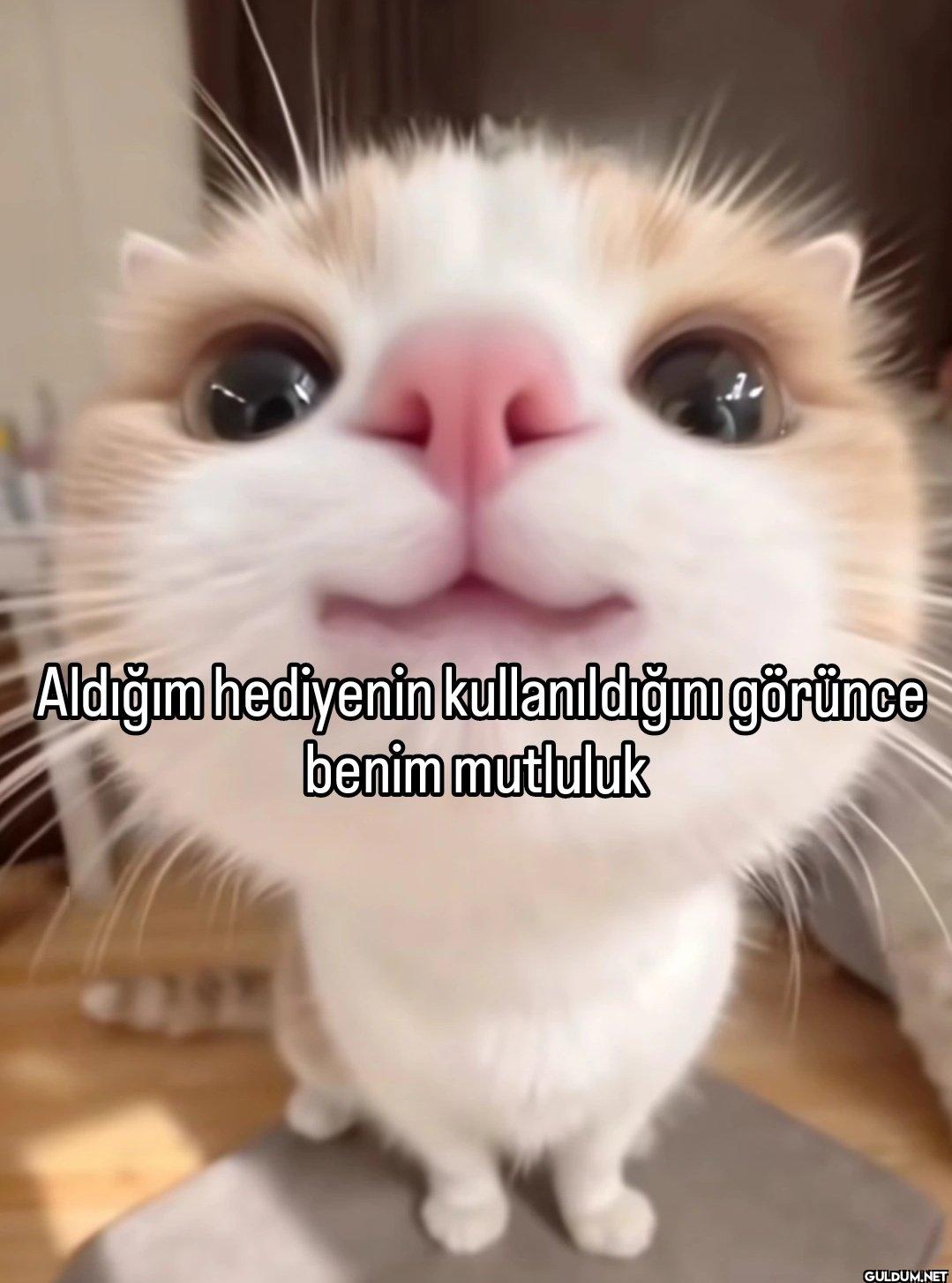 Aldığım hediyenin...