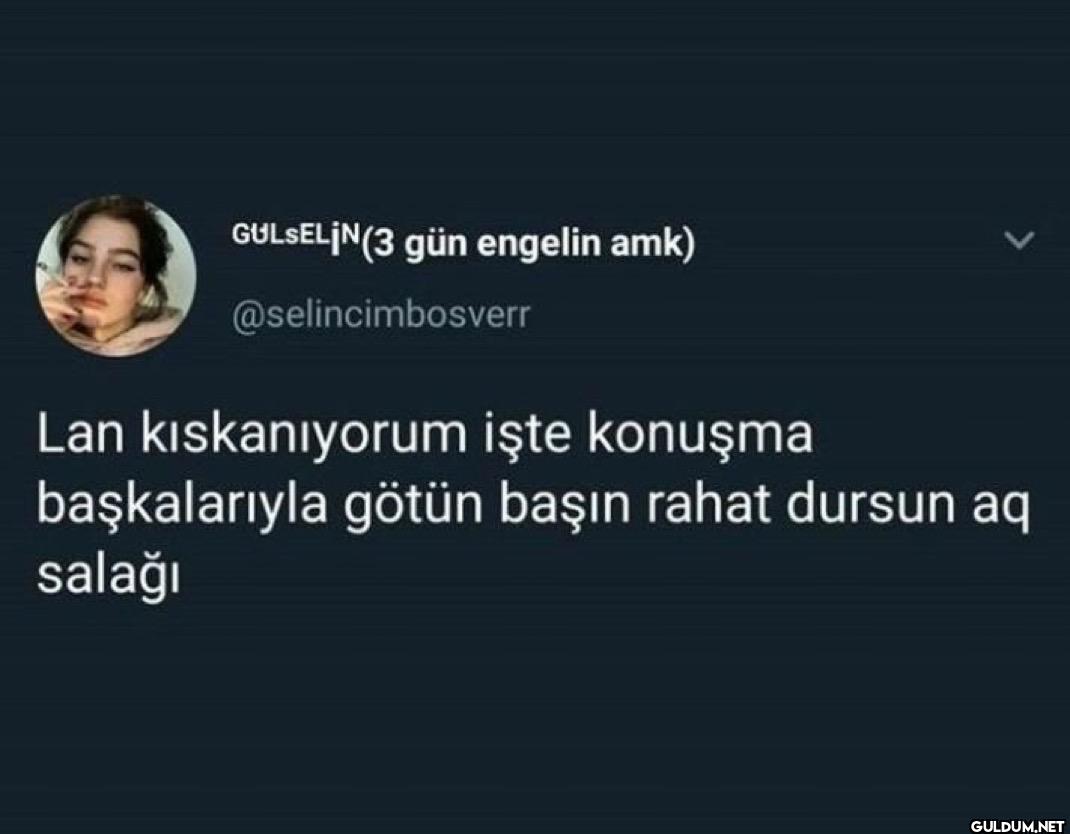 Lan kıskanıyorum işte...