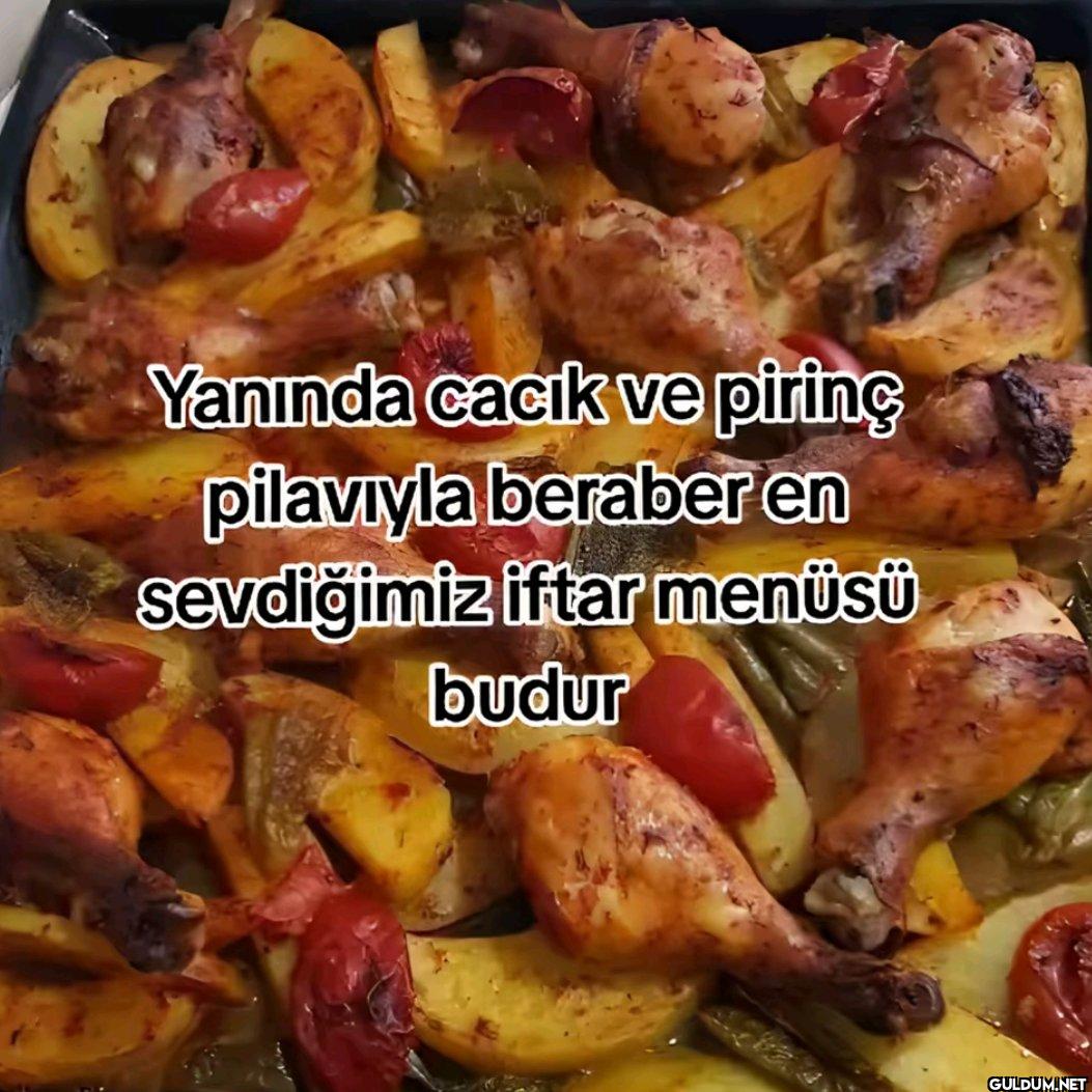 Yanında cacık ve pirinç...