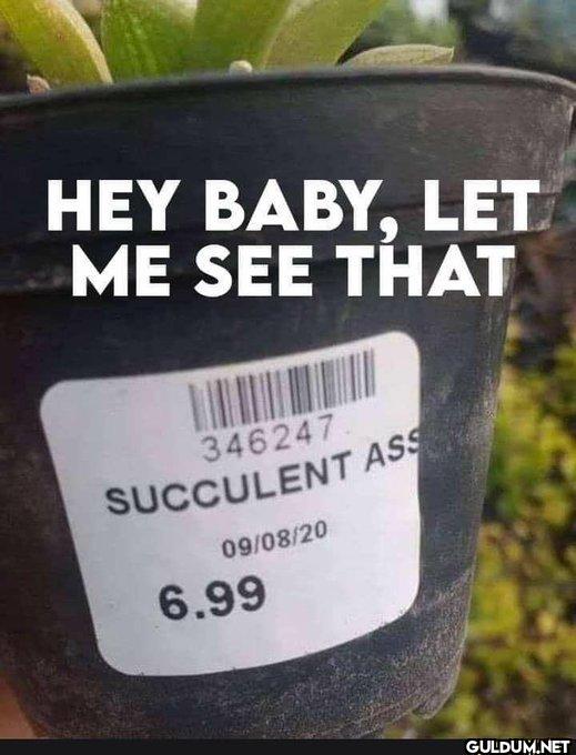 🫡    HEY BABY, LET ME SEE...