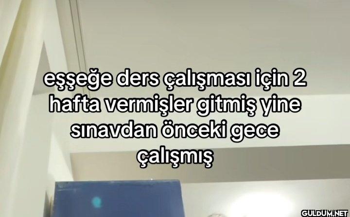eşşeğe ders çalışması için...