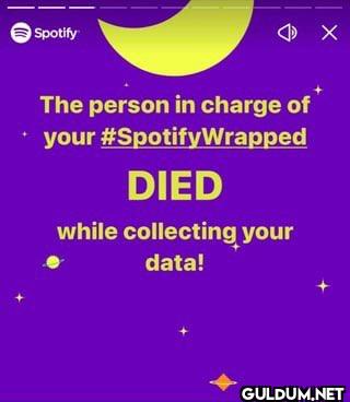 Spotify The person in...